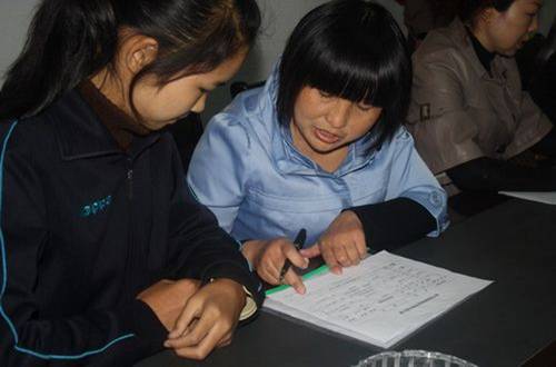 田巧芸：《高桥村走访日记》